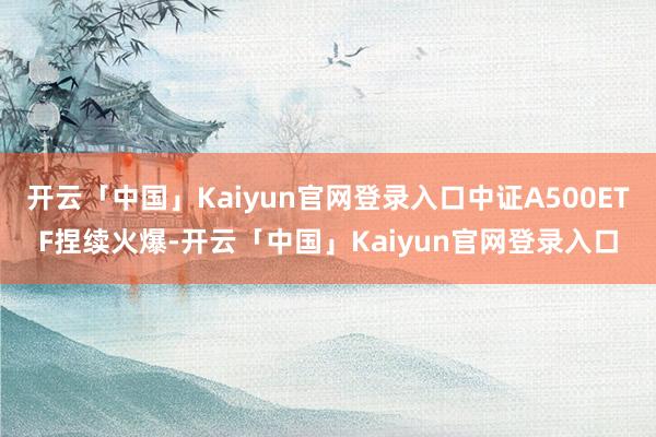 开云「中国」Kaiyun官网登录入口中证A500ETF捏续火爆-开云「中国」Kaiyun官网登录入口