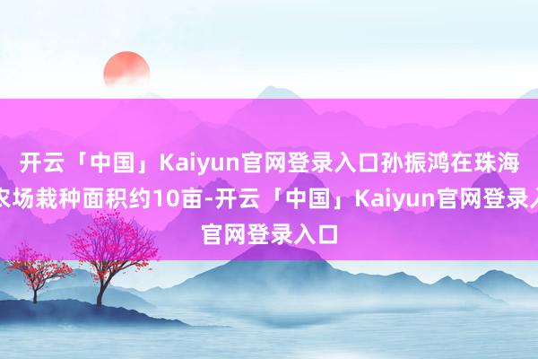 开云「中国」Kaiyun官网登录入口孙振鸿在珠海的农场栽种面积约10亩-开云「中国」Kaiyun官网登录入口